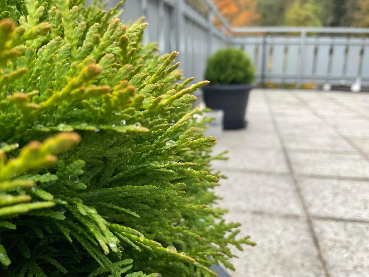 Ferienwohnung Schwarzwald Tannenzaepfle Baiersbronn Eksteriør bilde