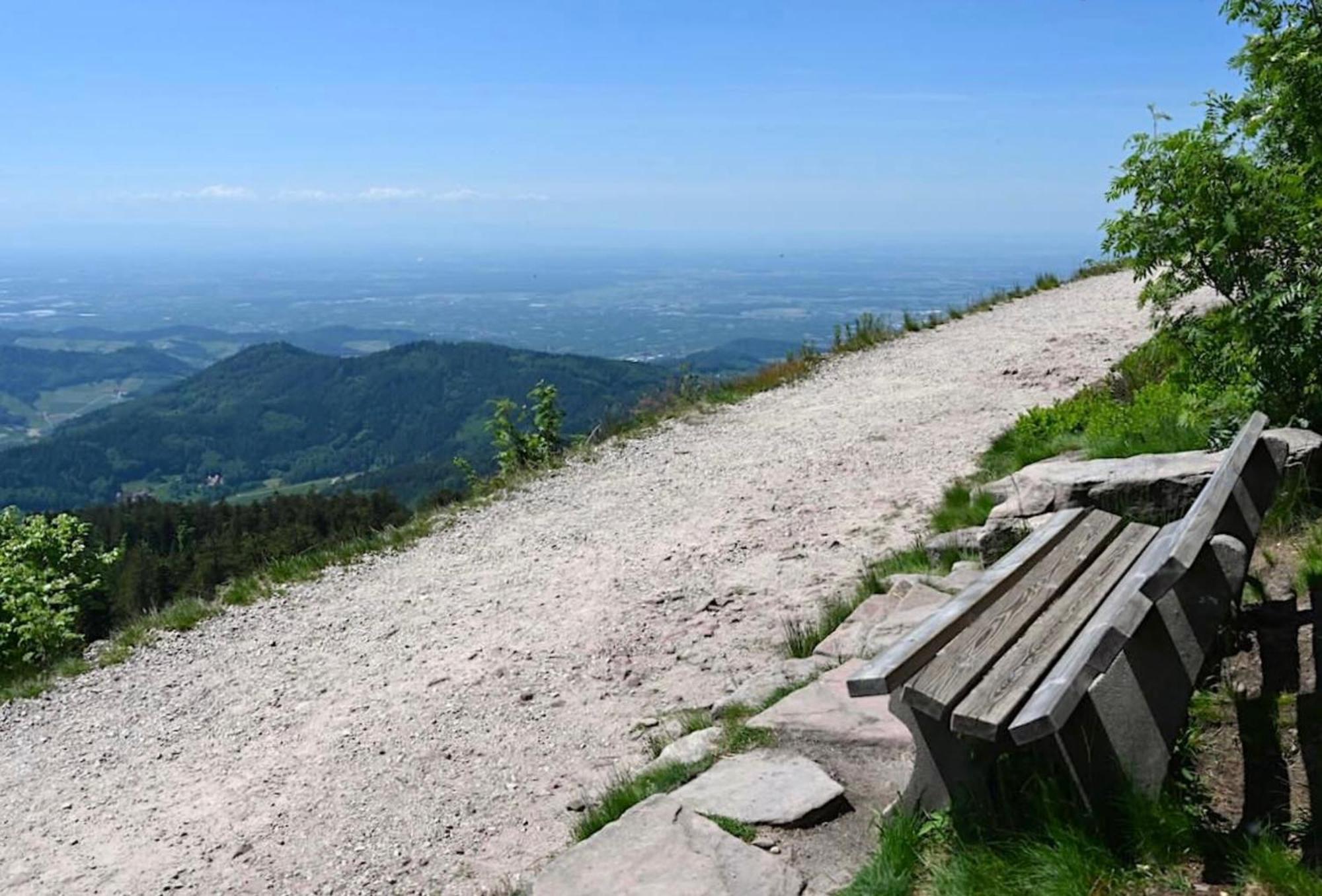 Ferienwohnung Schwarzwald Tannenzaepfle Baiersbronn Eksteriør bilde